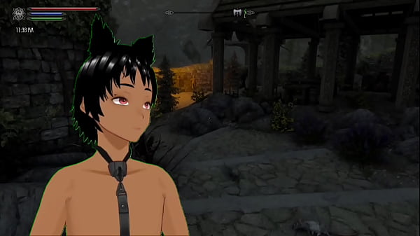 Skyrim B and L mod – Going on a quest and helping the poor and meeting the courier