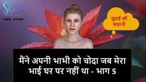 Hindi Audio Sex Story – I Fucked my Bhabhi while my step brother is not in home – Part 5