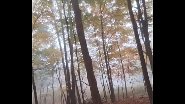 the other jolly good yellow compilation for free with yellow gloves 1