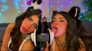 ASMR TWO Cats Flirt and Lick Your Ears with Eye Contact layered sounds – CorneliustheCat ASMR
