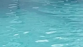 خواهرشوهر کوچک من، دو ١٩ساله، واژن بسیار تنگ و دلپذیری دارد که بسیار تازه و جدید است🤤😍😍🇮🇷🔥