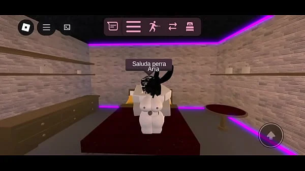 Pequeña zorra graba su primer video