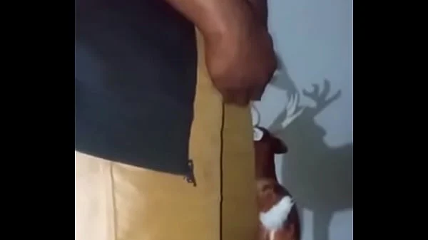 Similar colors to creamy peanut butter 2