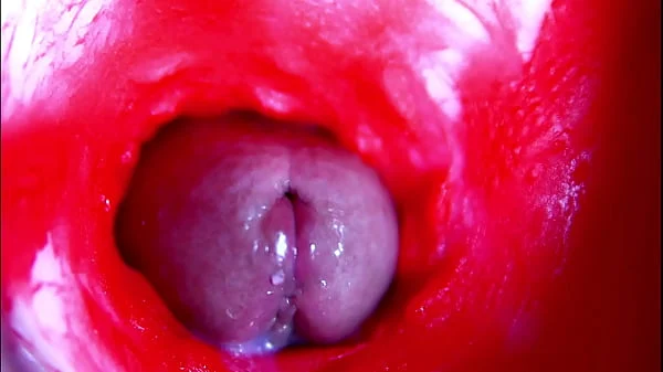 Extreme close-up ASMR head inside wet pussy