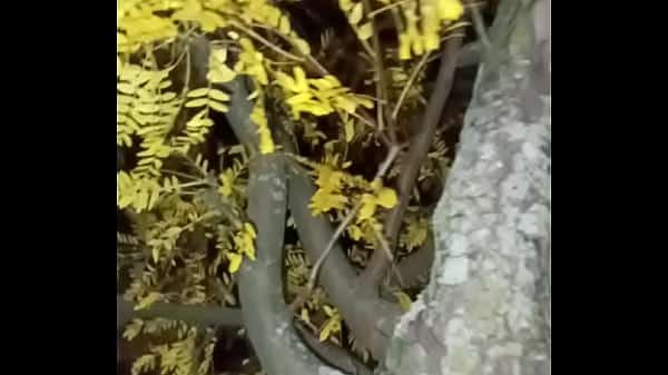 I’m a jolly good fellow while smiling with yellow trees and anal ending