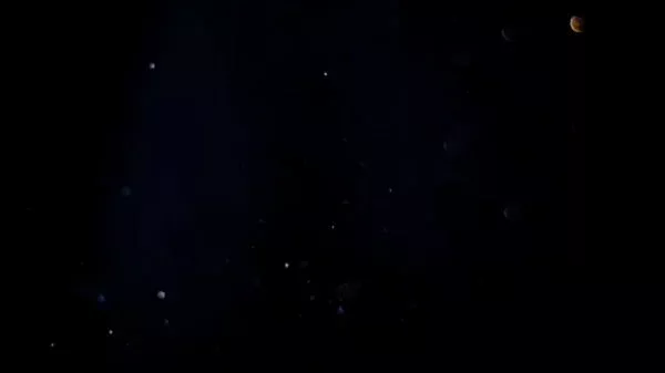 Ménage com MILF brasileira maravilhosa montando numa grande vara preta