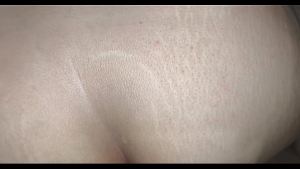 Arabic anal sex fuck my wife ass Arab