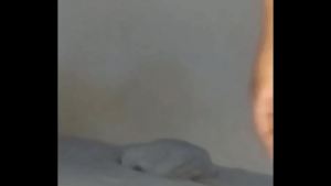 Practicing making lesser eye contact while showing up for free anyone can join in