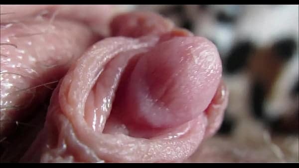 big clit orgasm closeup