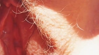 My pussy so close up you can almost smell her