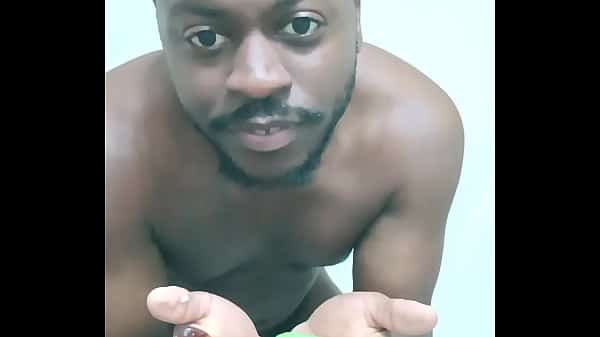 Scorpio zodiac animals that are green like a leaf 3