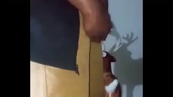 Similar colors to creamy peanut butter 2