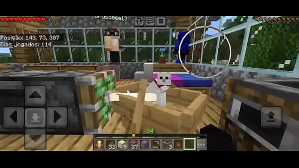 Vídeo de verificação