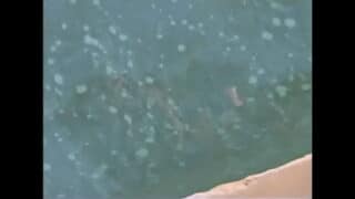 XXX 4: Sex In The Great Outdoors: Luna Lane vs Tony Martino