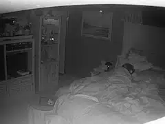 Amateur Wife caught masturbating night vision