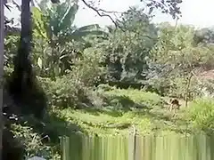 Brazilian public shower