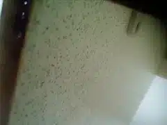 Busty soccer Step mom shaves herself while taking a shower