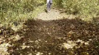 HALLOWEEN Scream Movie Trailer: Ghostface Pounds me in the Woods and makes me Scream