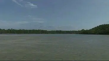 Hot Brazilian babe full of cocks in mmf threesome