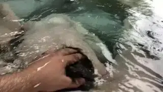 Rainy day hot tub fun avec un très bon French-Canadian twink chaser sub boy