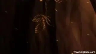 Sizzling Nights’ with the ‘Desi Indian Dance Seduction