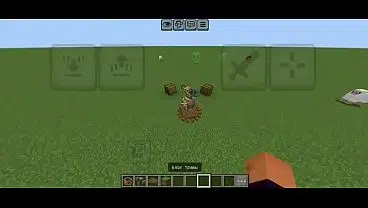 Vídeo de verificação