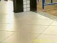 Mulatinha