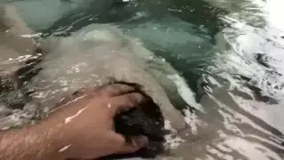 Rainy day hot tub fun avec un très bon French-Canadian twink chaser sub boy