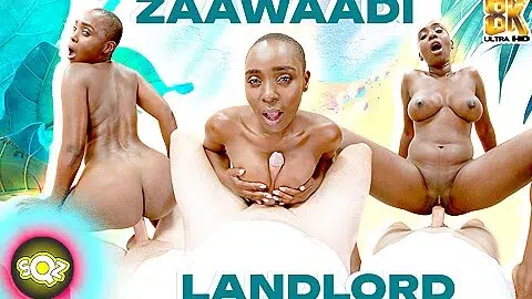Zaawaadi – Landlord
