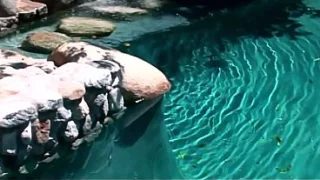 Crazy Double And Anal Penetration With Daphne Rosen – Very Hard Core Porn