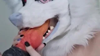 Marie’s Toy Review on XenoCat (And Cumming on Camera 🤍)