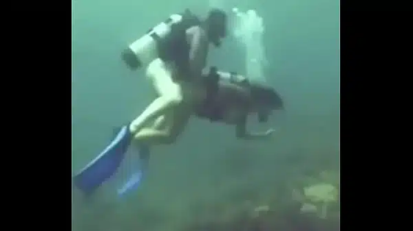 PRATICANDO O ATO DE PROCRIAÇÃO EM PLENO MAR…