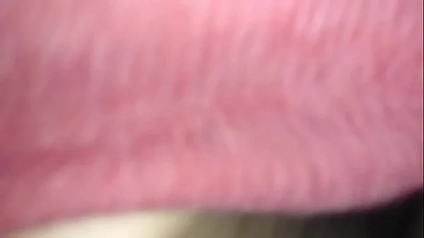 Pretty Thot Girlfriend Pussy Gets Smashed Road to a Million Views