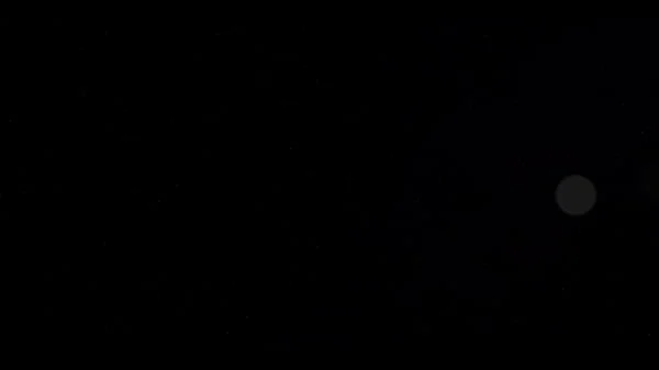 Stunning Aleska Diamond Eats Bombshell Zafira’s Pussy