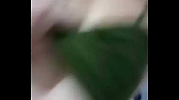 Hamster
