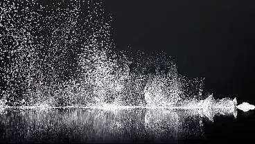 Abella Danger knows exactly what she wants – and Brad’s eager to give it to her