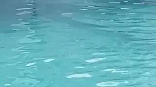 خواهرشوهر کوچک من، دو ١٩ساله، واژن بسیار تنگ و دلپذیری دارد که بسیار تازه و جدید است🤤😍😍🇮🇷🔥