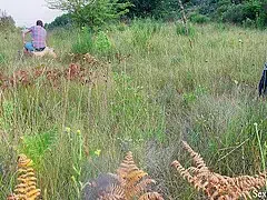 Fabulous Sex Video American Exclusive , Take A Look