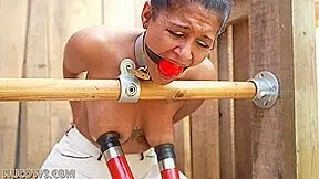 HuCows.Calisa.Bliss.Curious