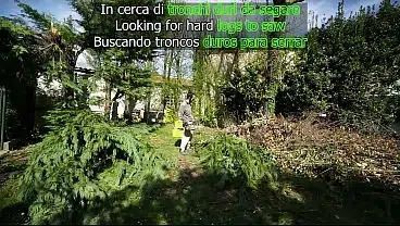 In cerca di TRONCHI DURI da segare!(sesso amatoriale nel bosco)