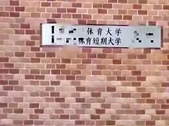 Incredible Japanese model in Horny Bus JAV scene