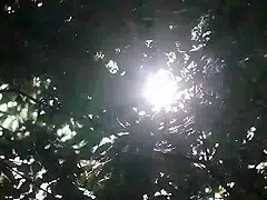 RDTSQBZFXFGPEGURBP19MUDR371