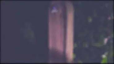 She loves pissing in the garden at night