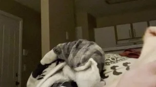 Vibrator Couch Sex (Full Video)