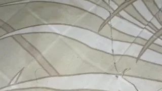 Anal sex with my stepsister, we fuck while our aunt goes shopping at the market.