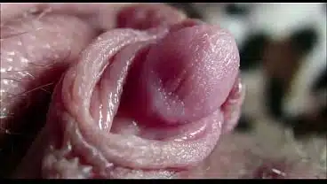 big clit closeup
