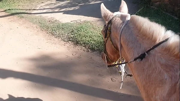 Cavalguei tanto que me exitei tive que descontar com o cavalo