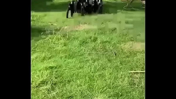 نيك اكس اكس