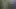 DICK FLASH IN PARK. A stranger caught me jerking off and helped me cum