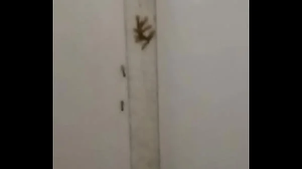 Fumiga do sexo